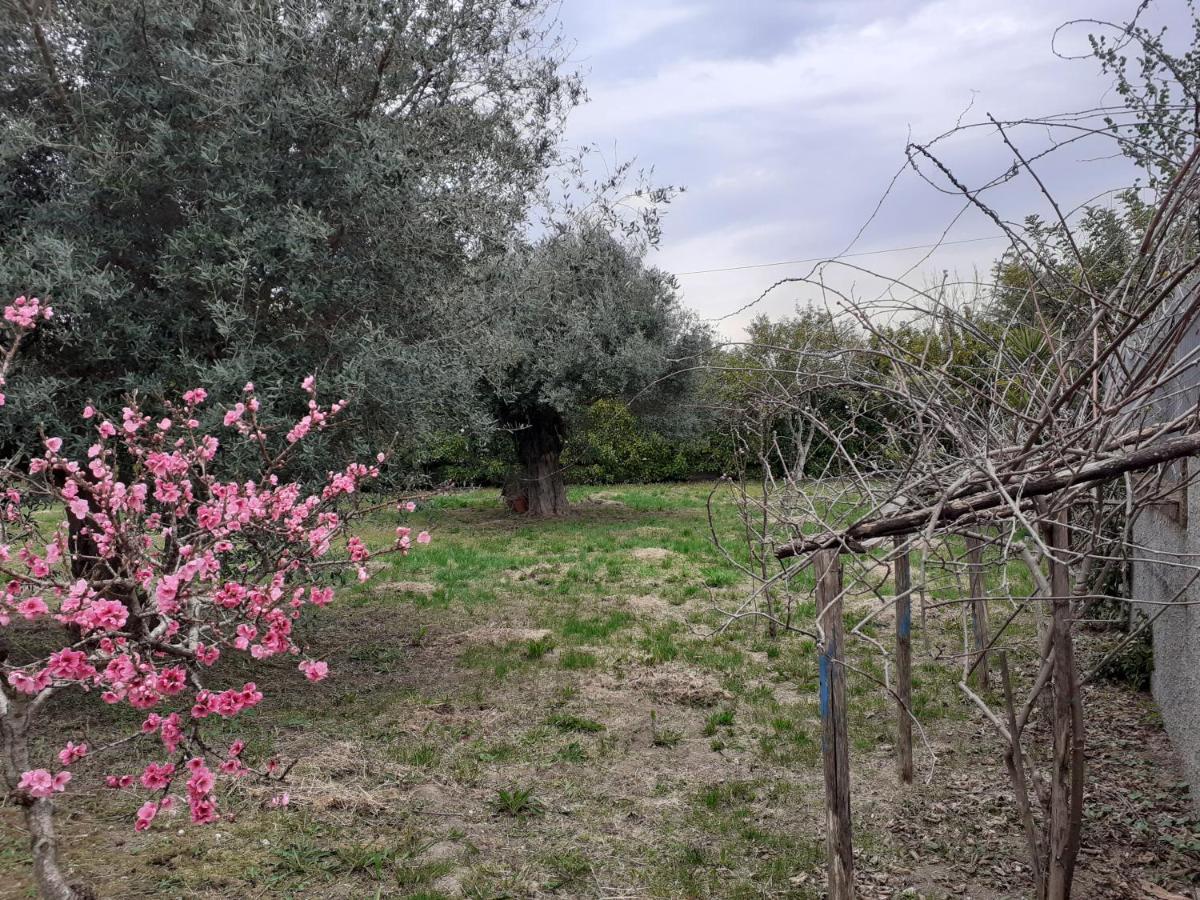 קאפאצ'יו-פאסטום Il Tuffatore B&B מראה חיצוני תמונה